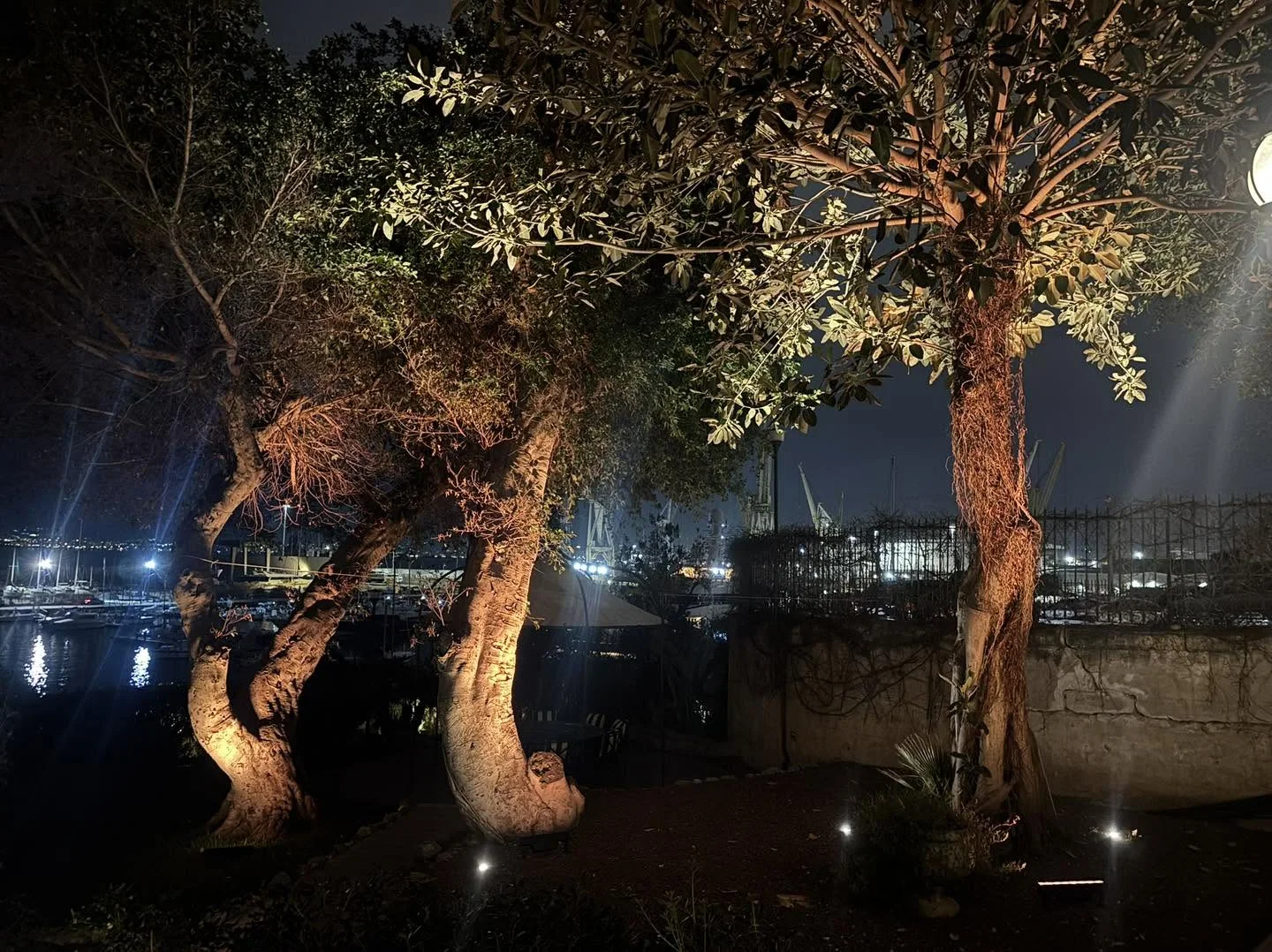 Jardin éclairé avec vue sur le port