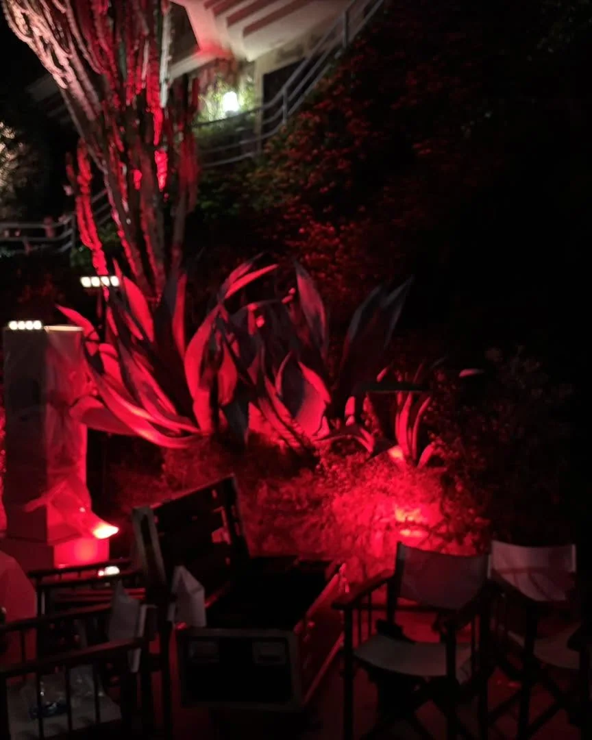 Mise en lumière d’un jardin sur la Côte d’Azur